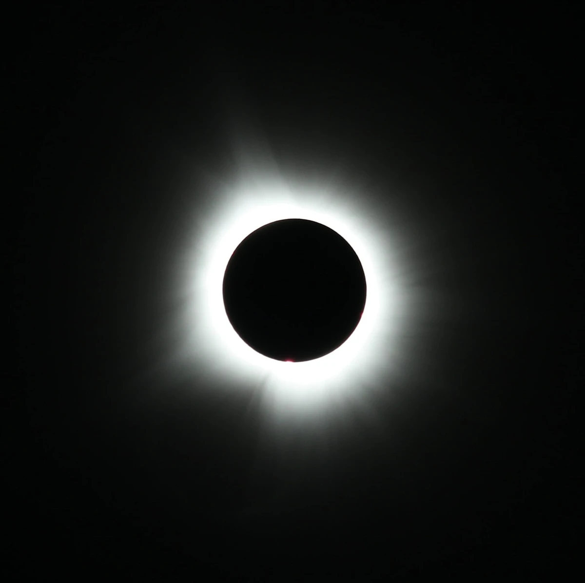 The sun's corona and a red solar prominence visible around the moon during totality